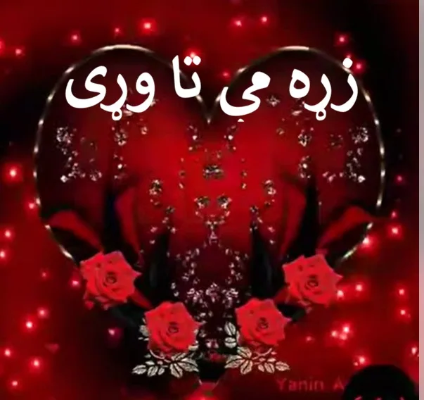 زړه مې تا وړئ