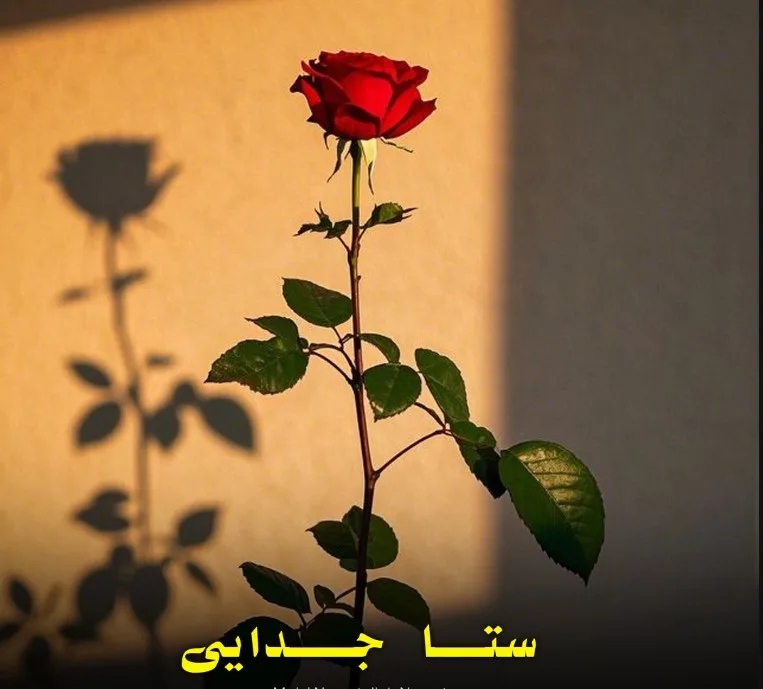 ستا جدایي راته